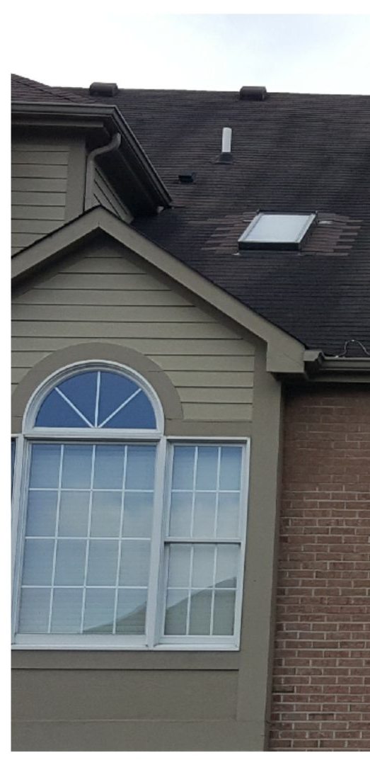 Shingle roof before cleaning, covered in black algae streaks